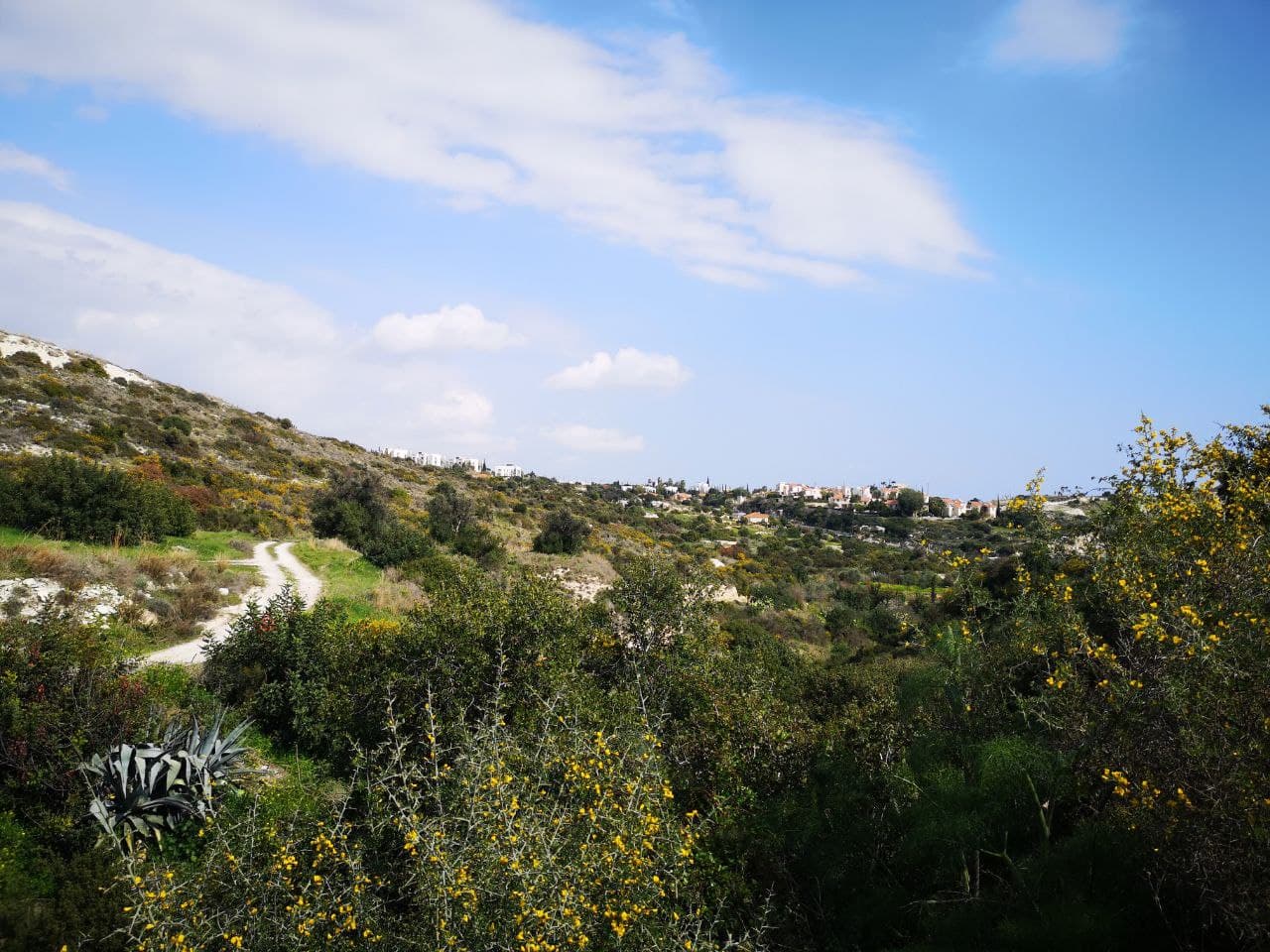  - Image 1