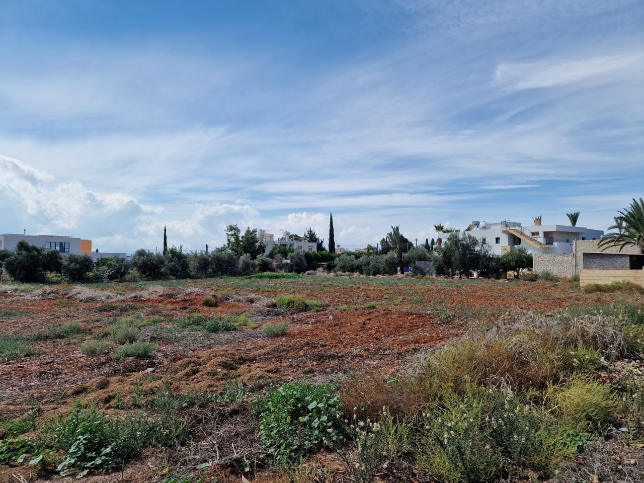 Property main