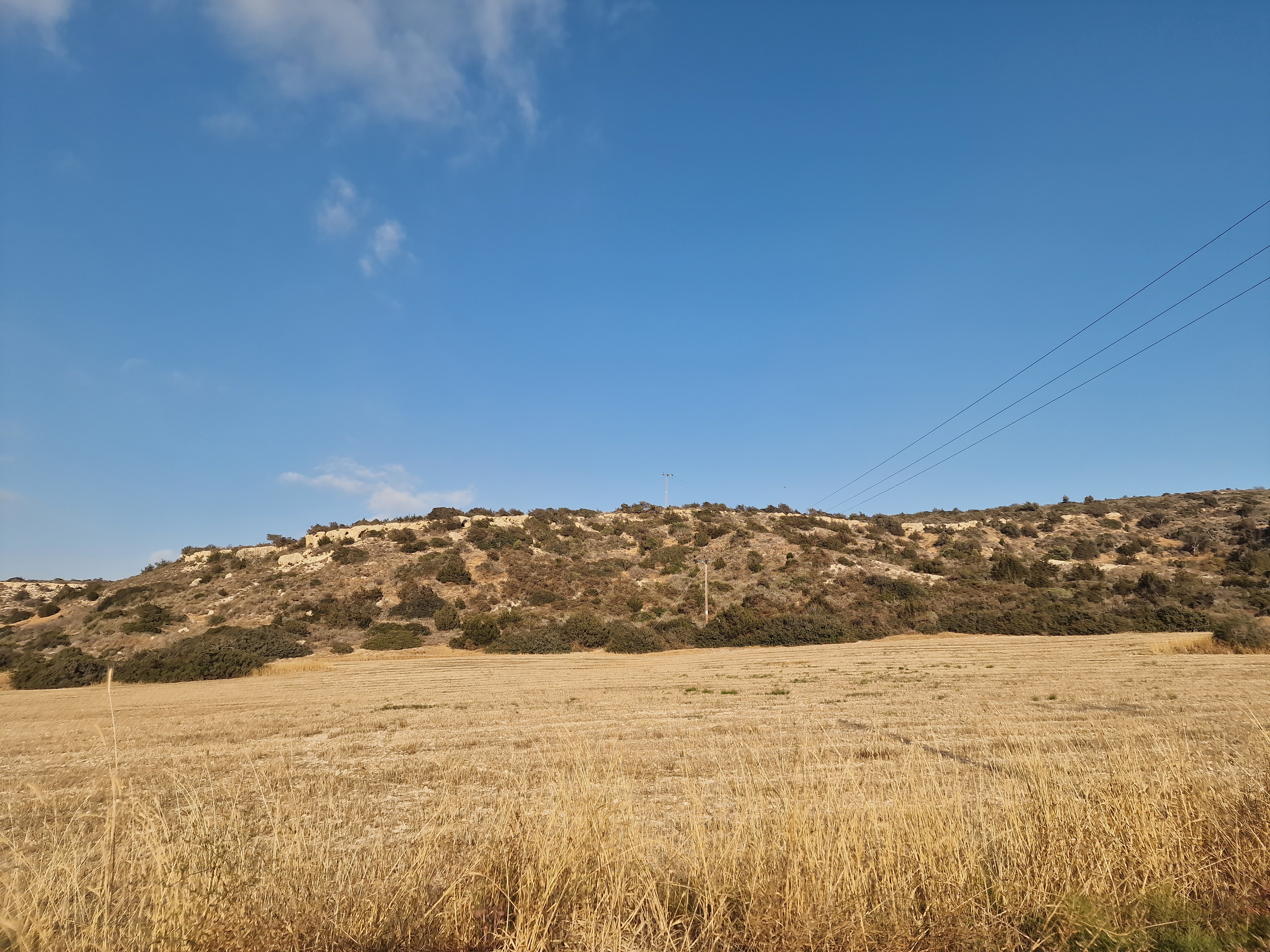  - Image 1