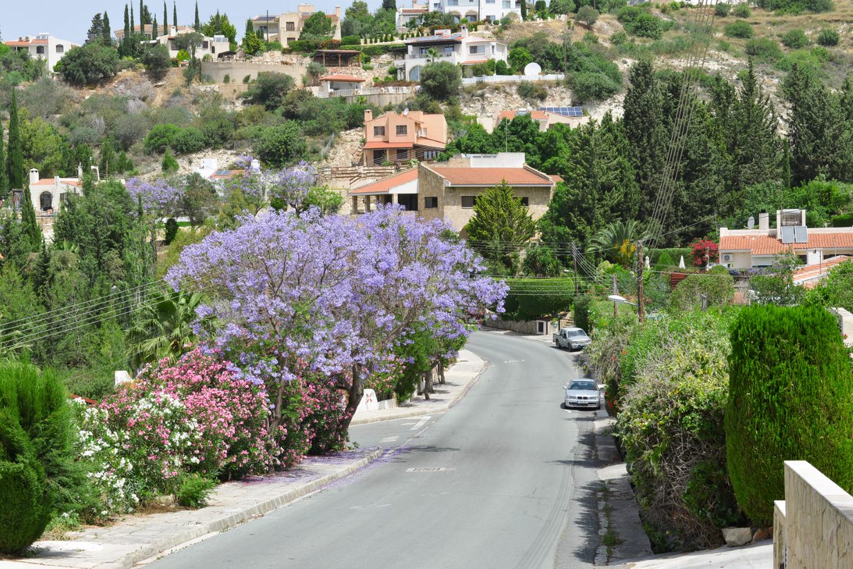  - Image 1