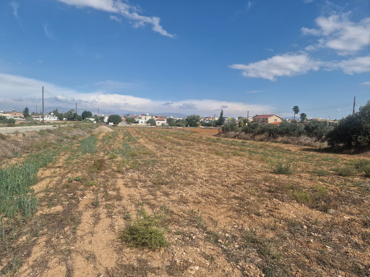 Property main