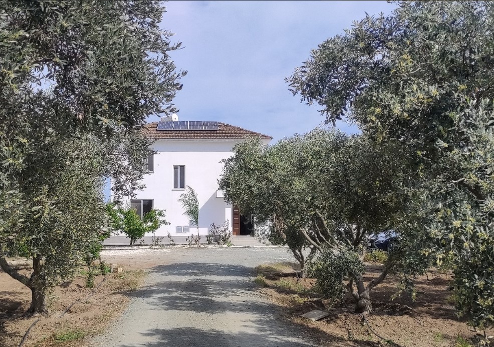Property image 8