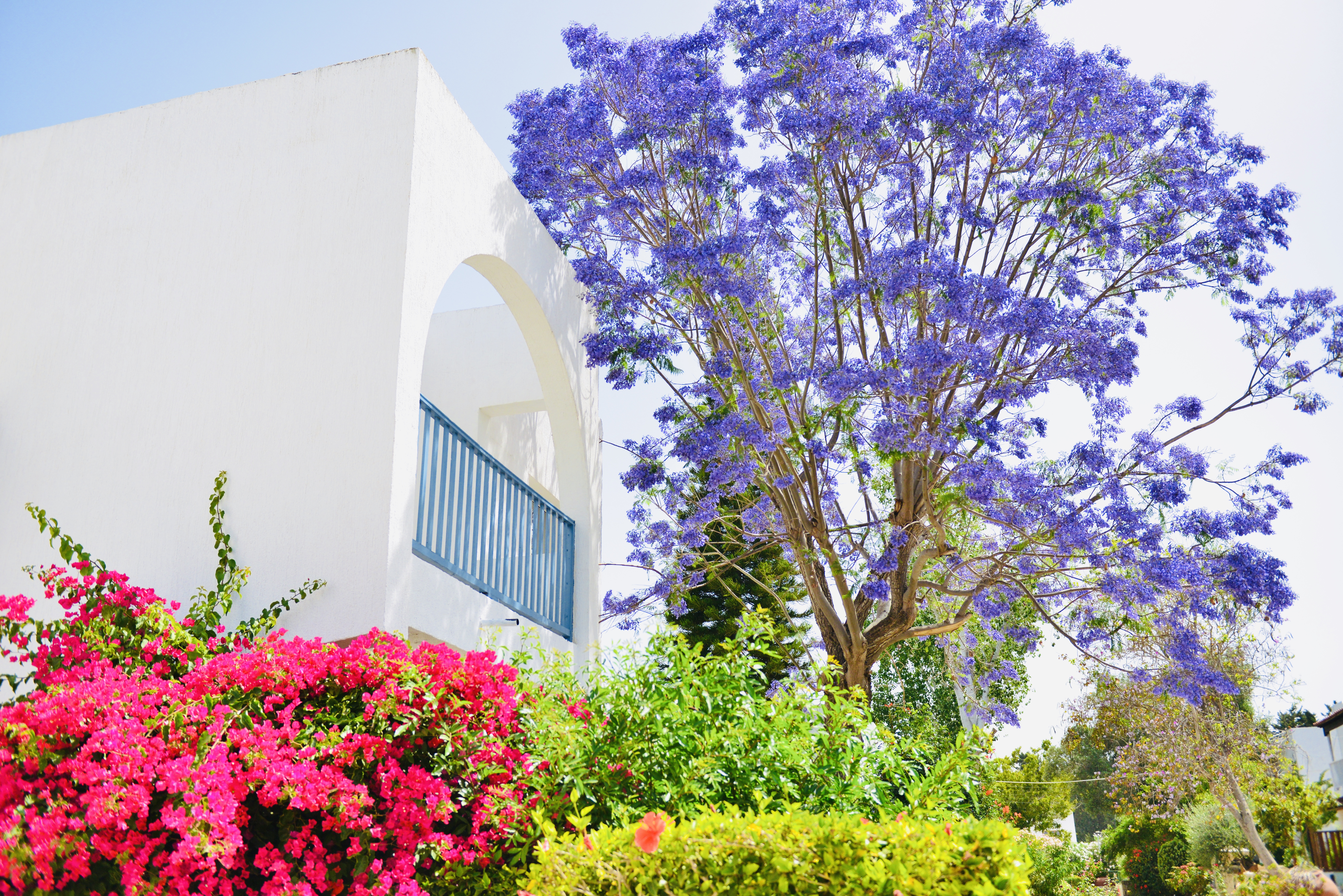 Paphos Gardens
