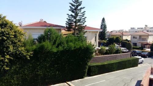 Orange Garden