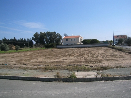 Orange Grove