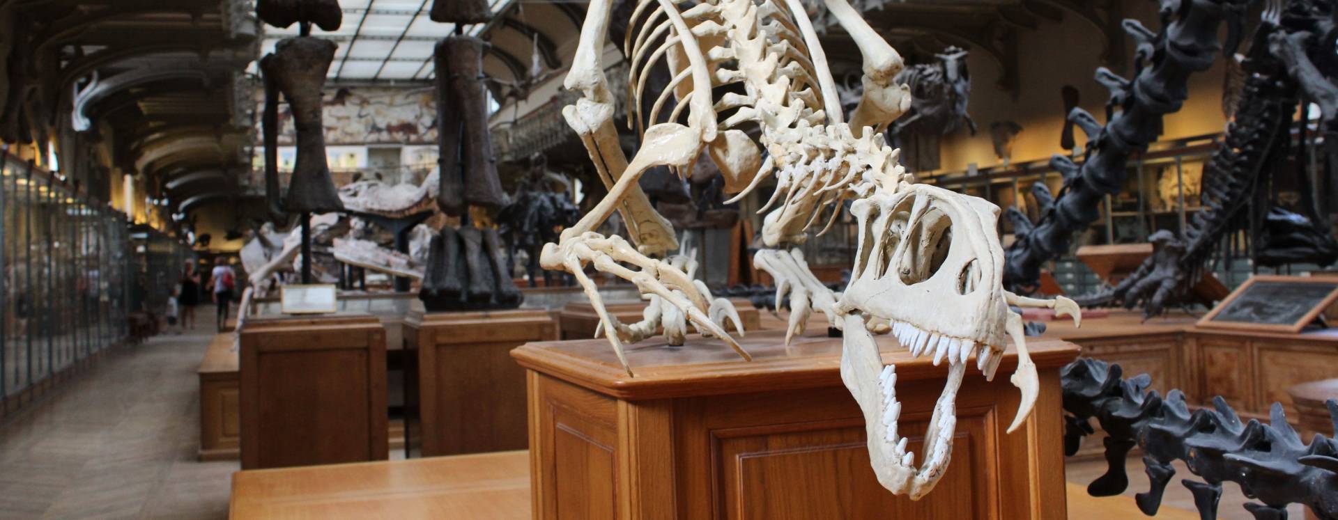 Construction of First Center of Geology and Paleontology Nearing Completion in Cyprus