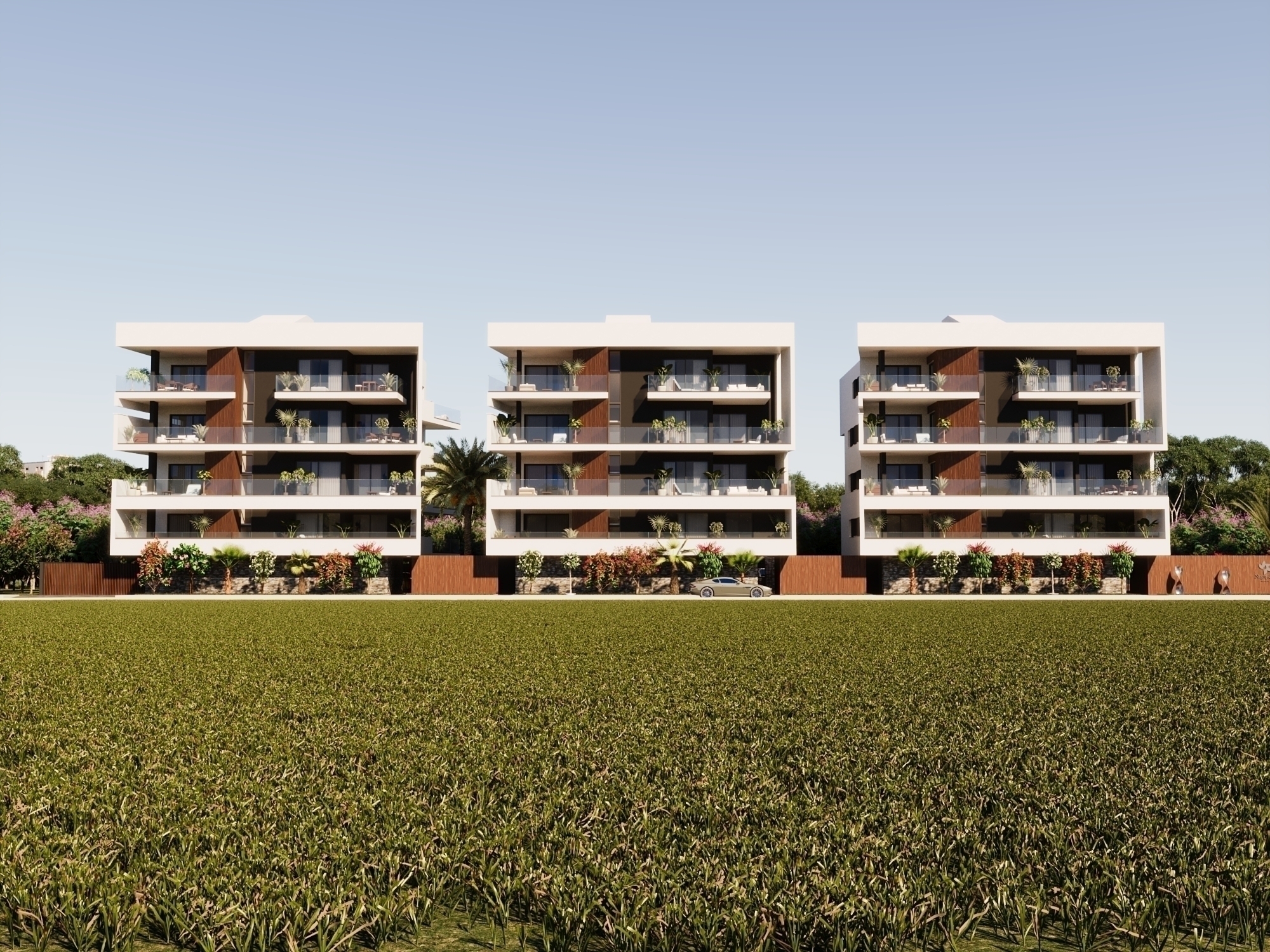  - Image 1