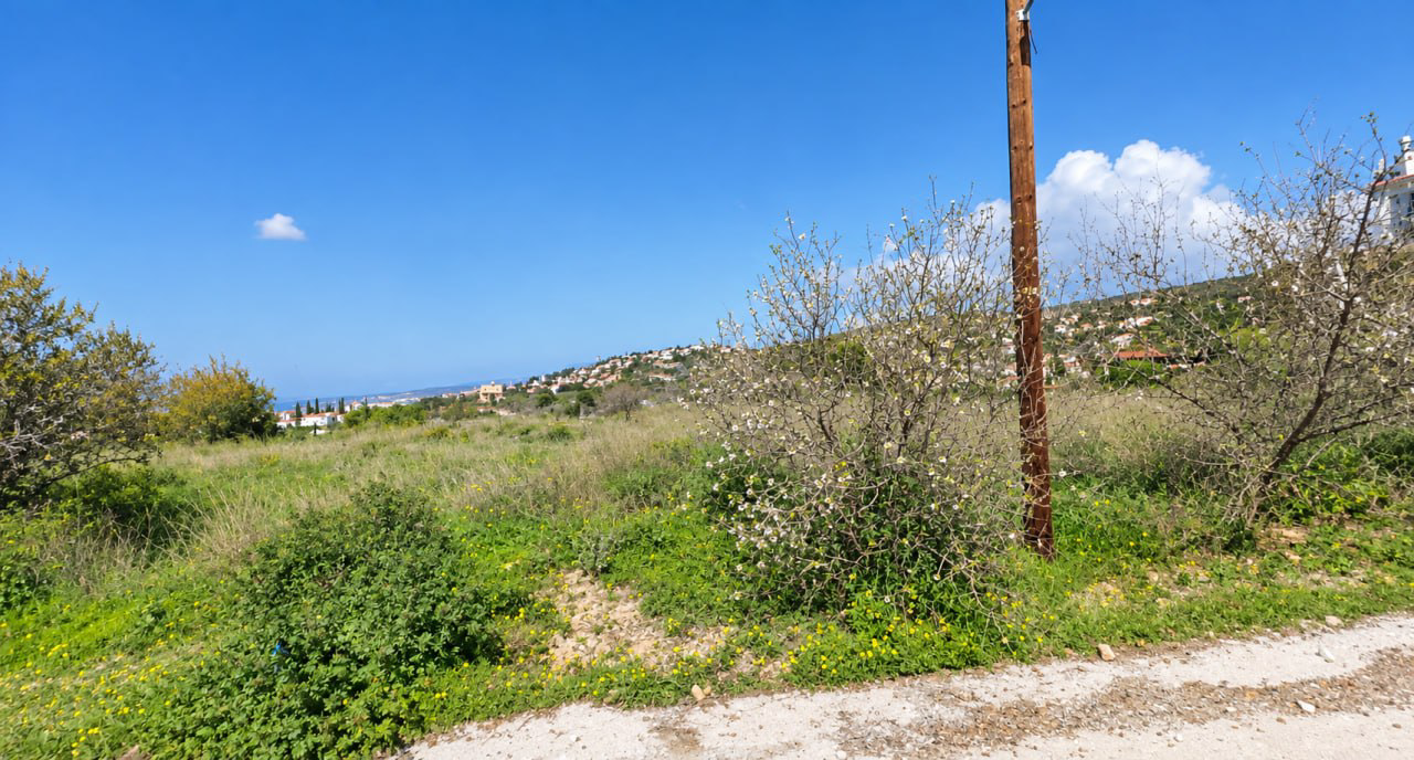 Property main