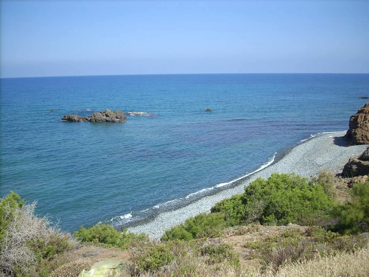 - Image 1