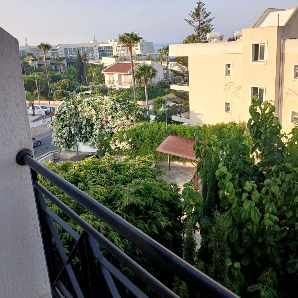 Property main