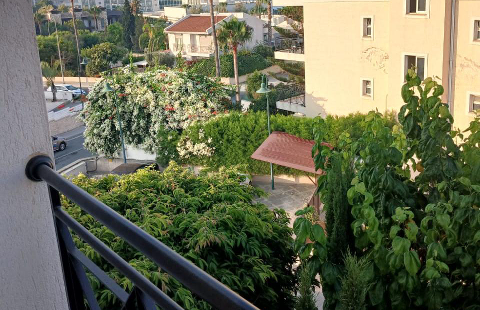  - Image 1