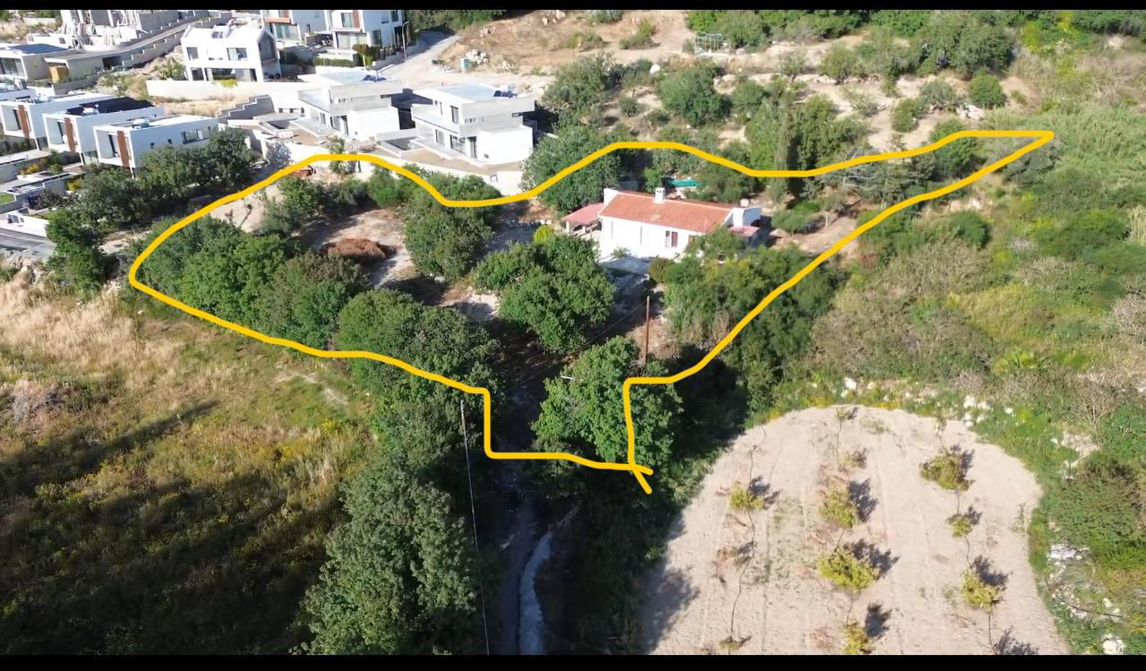 Property main