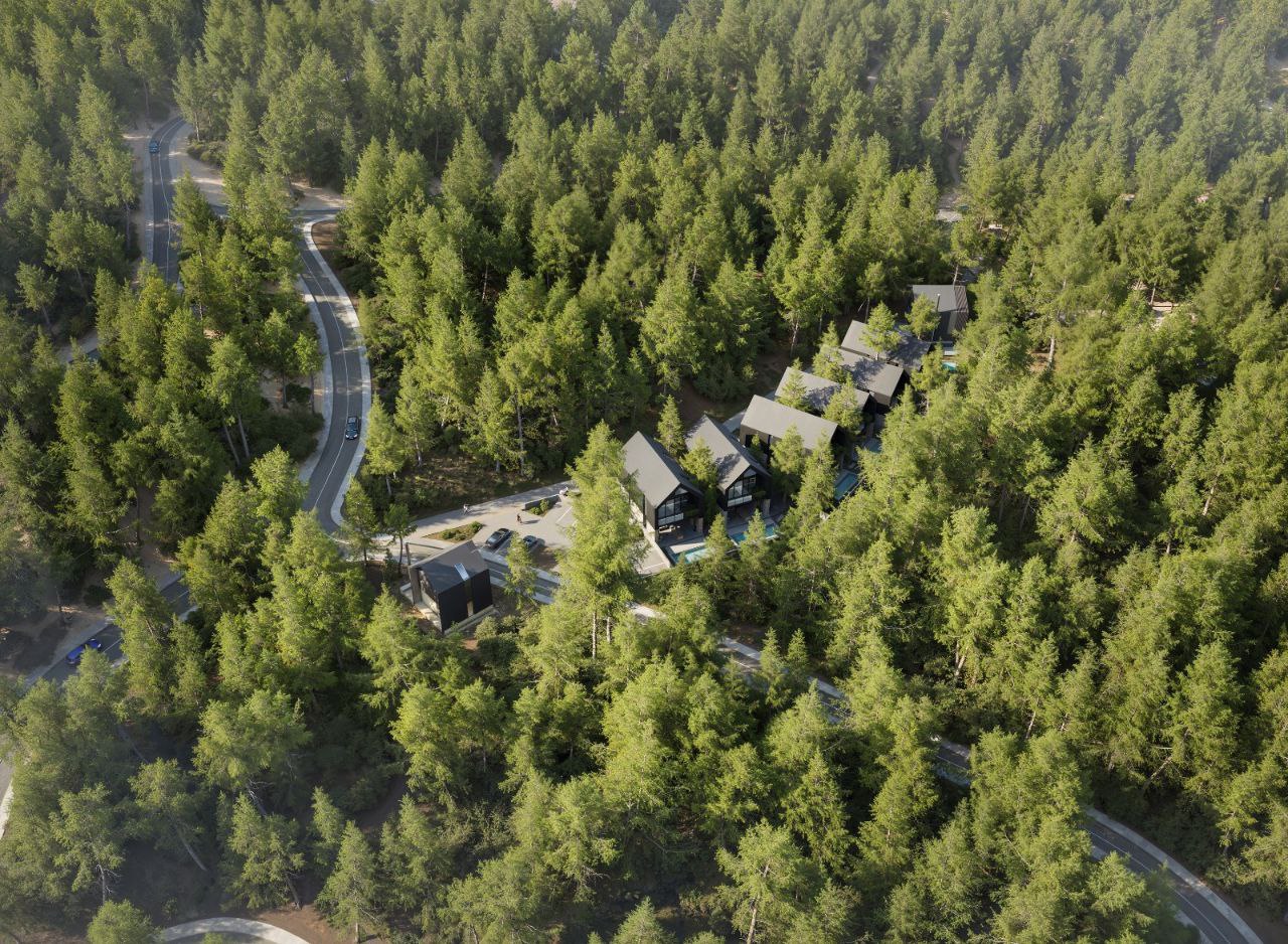 - Image 1
