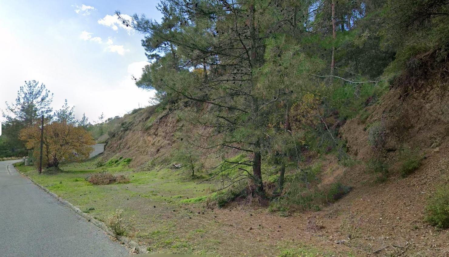  - Image 1
