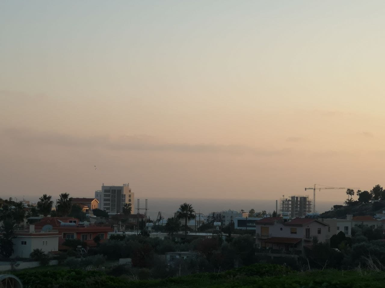 - Image 1
