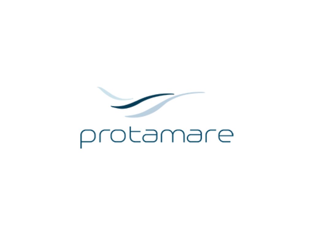 Protamare