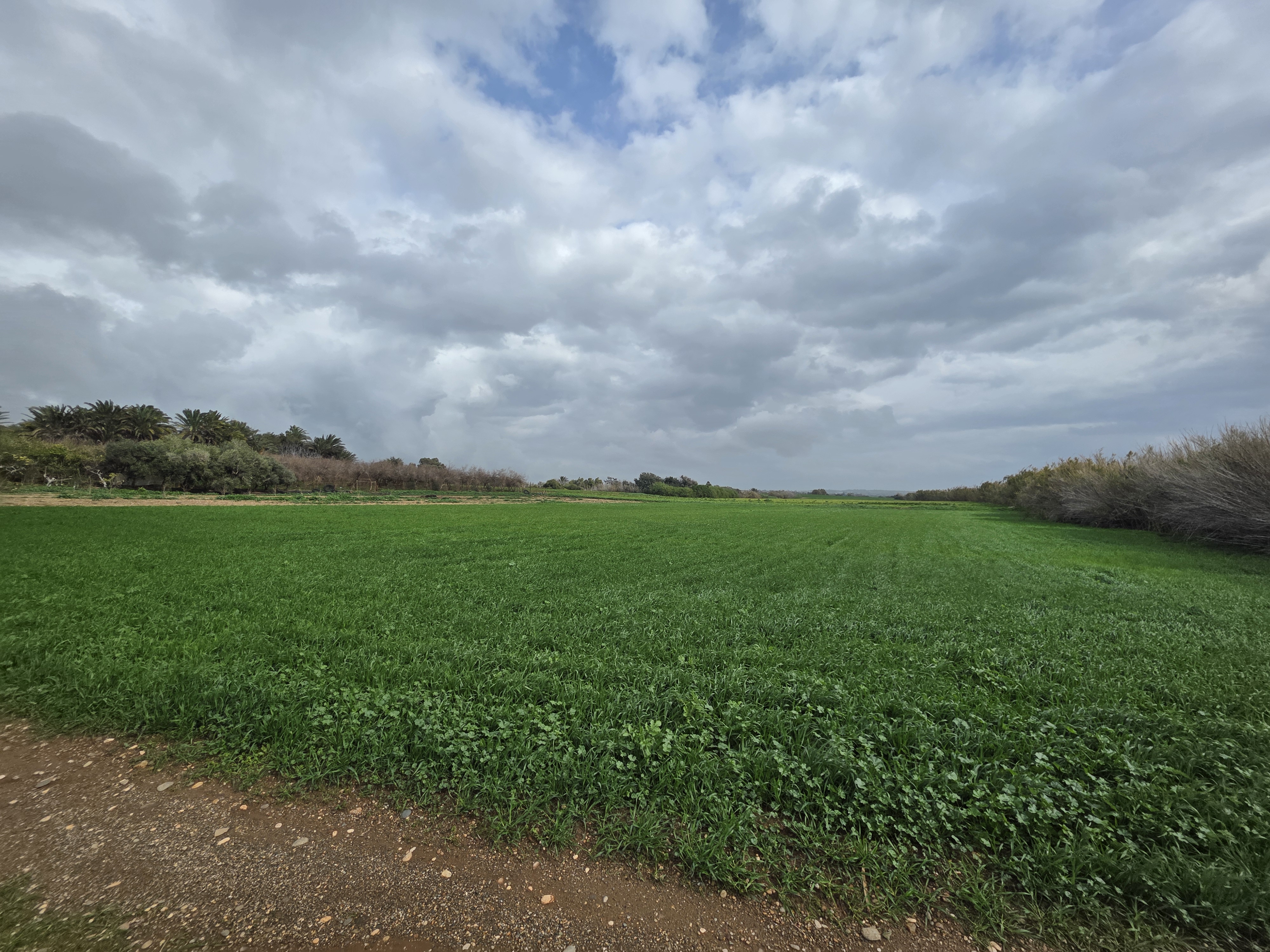  - Image 1
