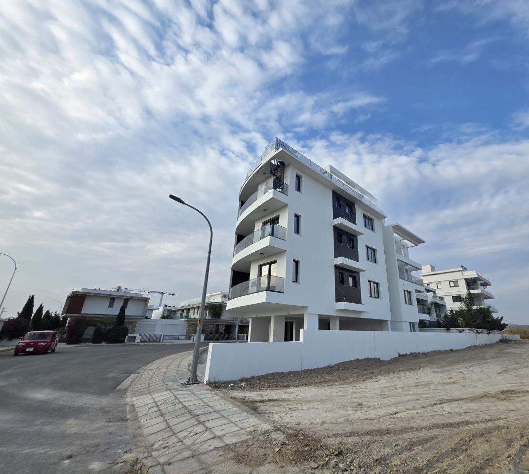 - Image 1