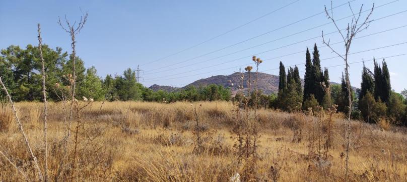 Kornos