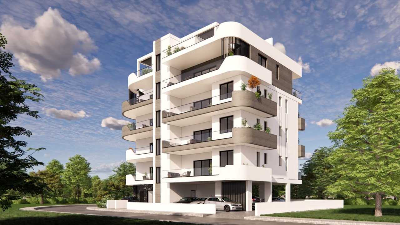 Palms 1