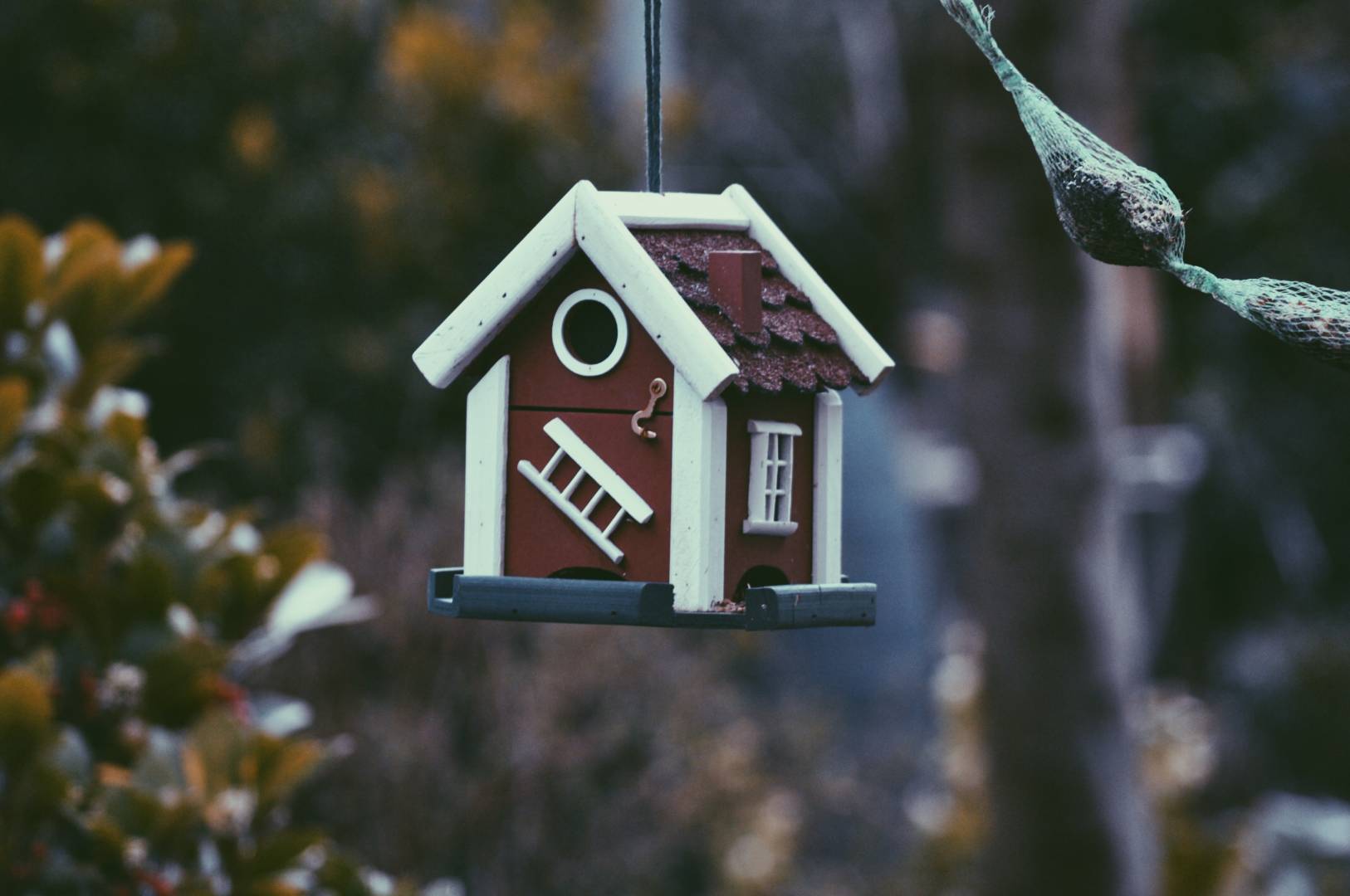 7 types of landlords in Cyprus. How to get along with each of them?