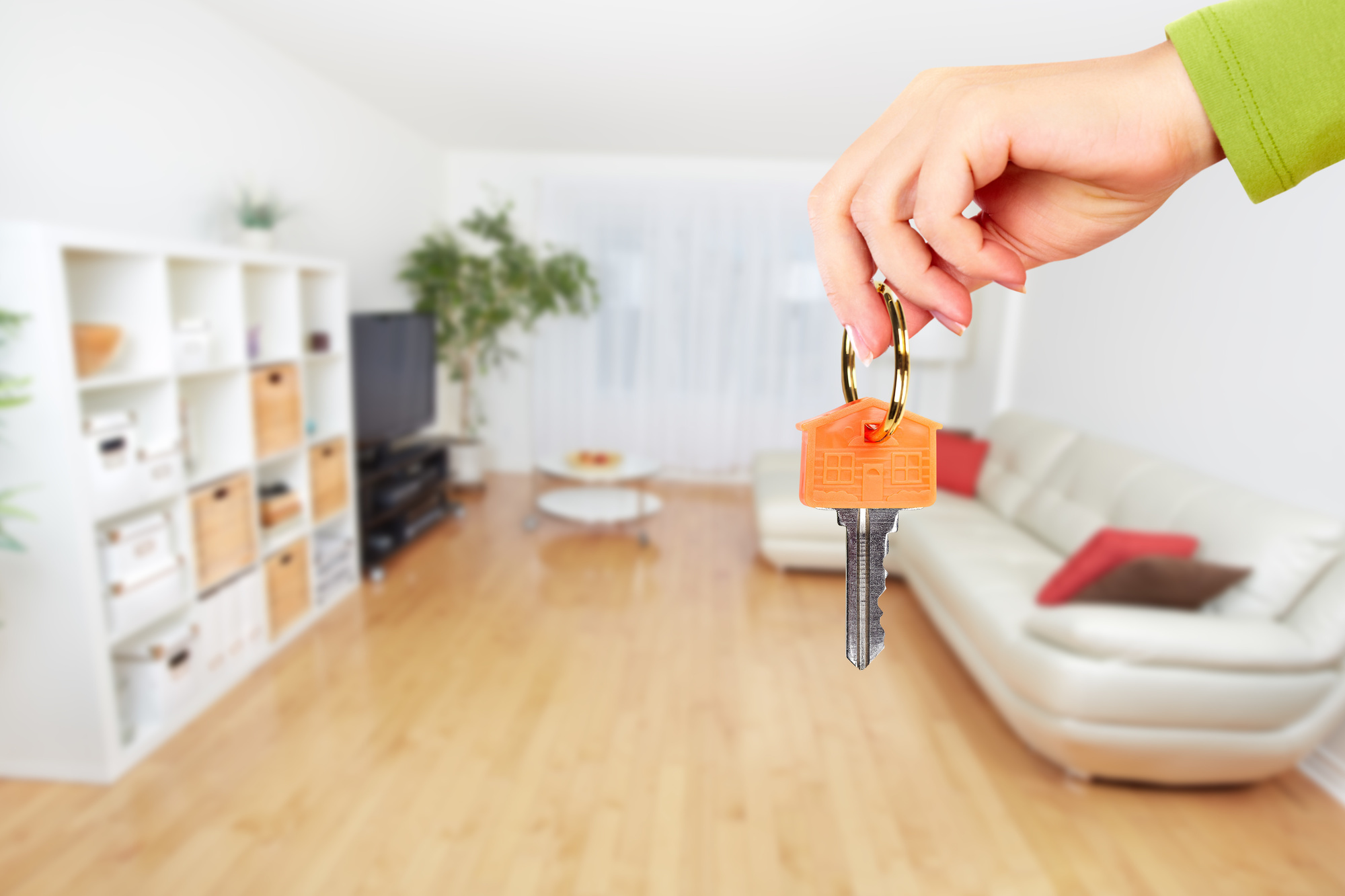 Rental Rates in Cyprus Have Stabilized