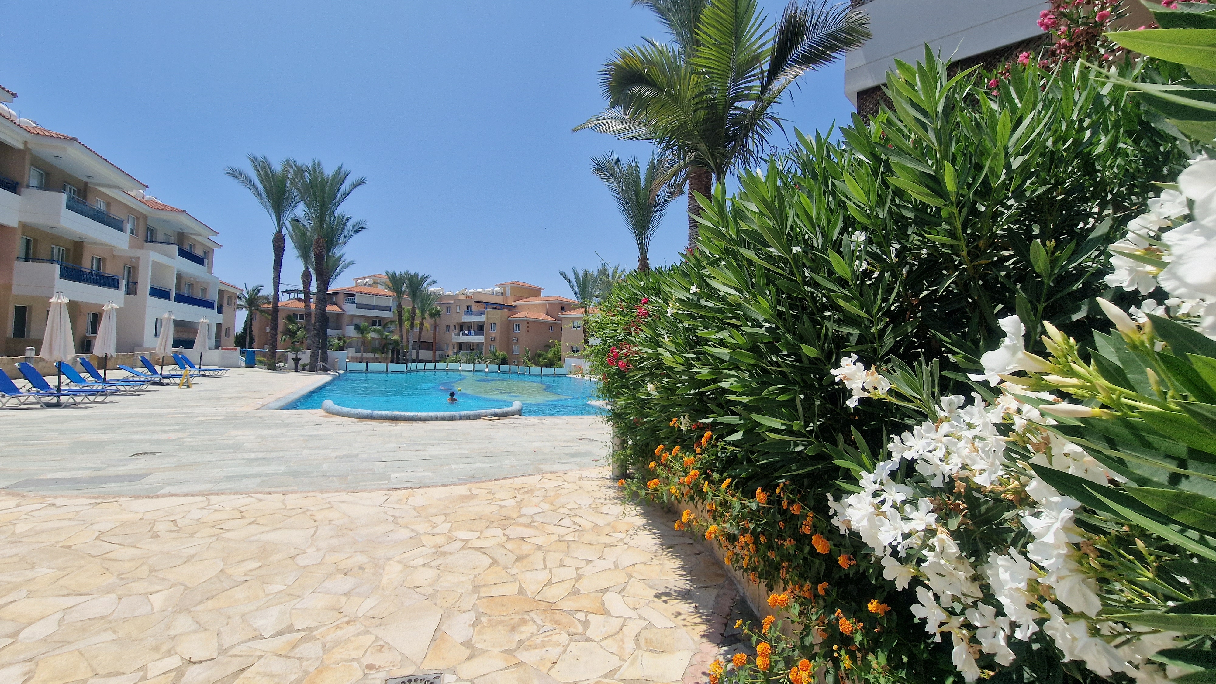Iris Village
