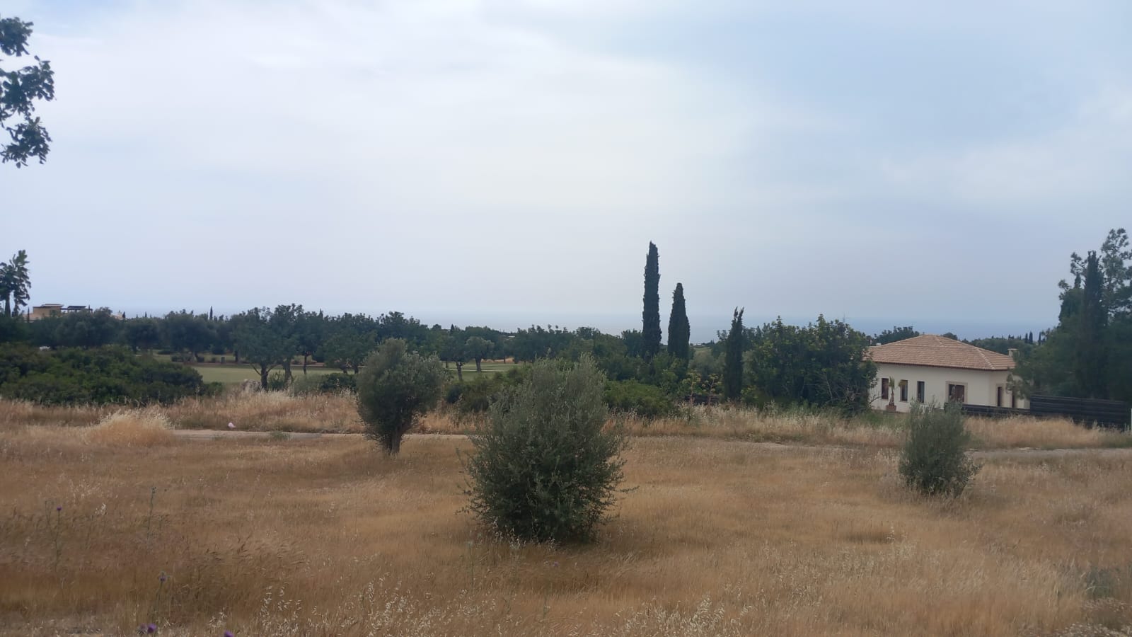  - Image 1