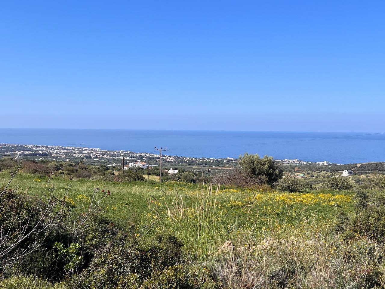 - Image 1