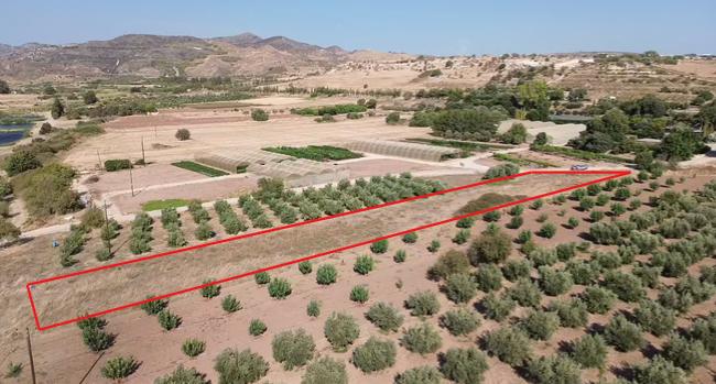 Agia Varvara Plots