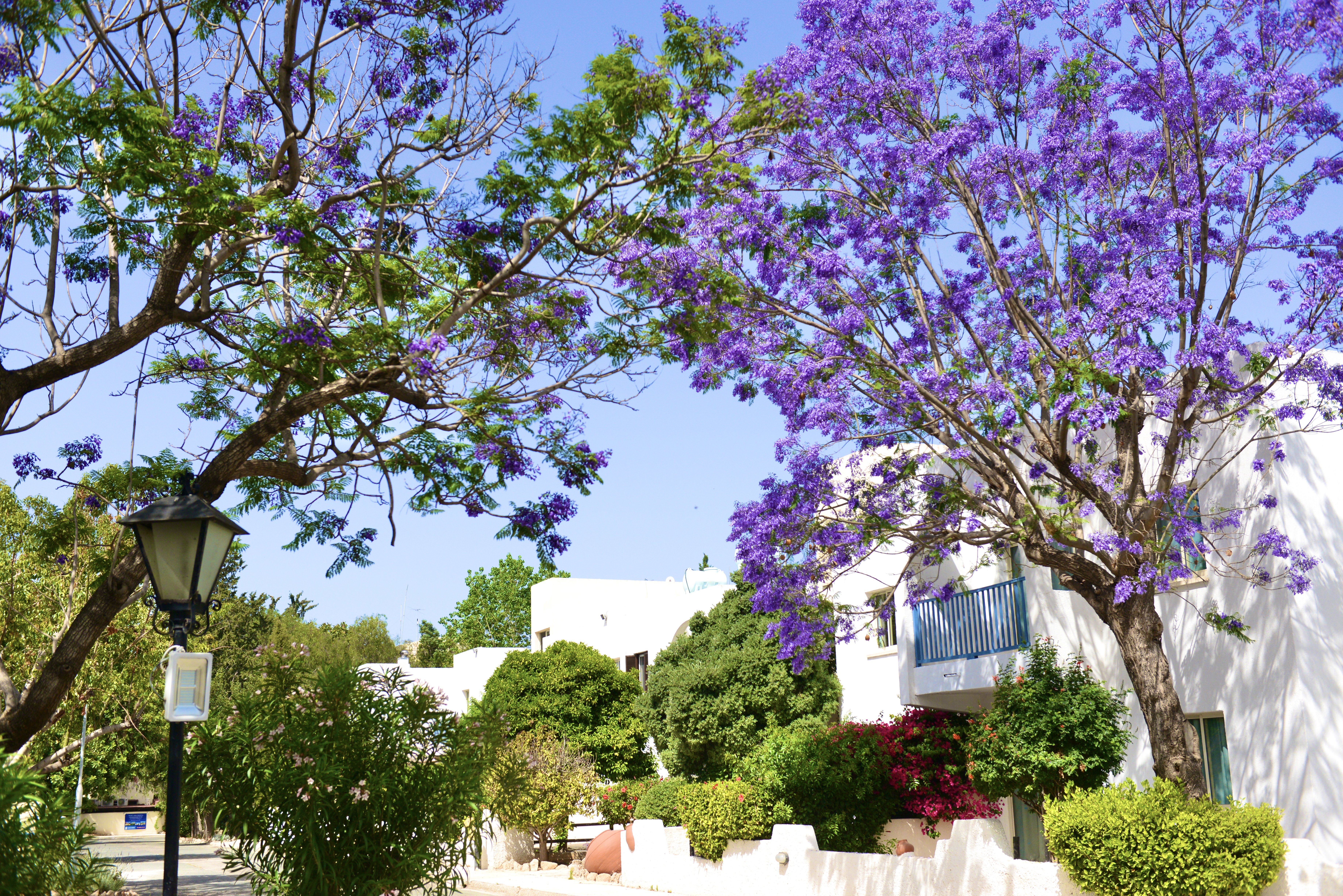 Paphos Gardens
