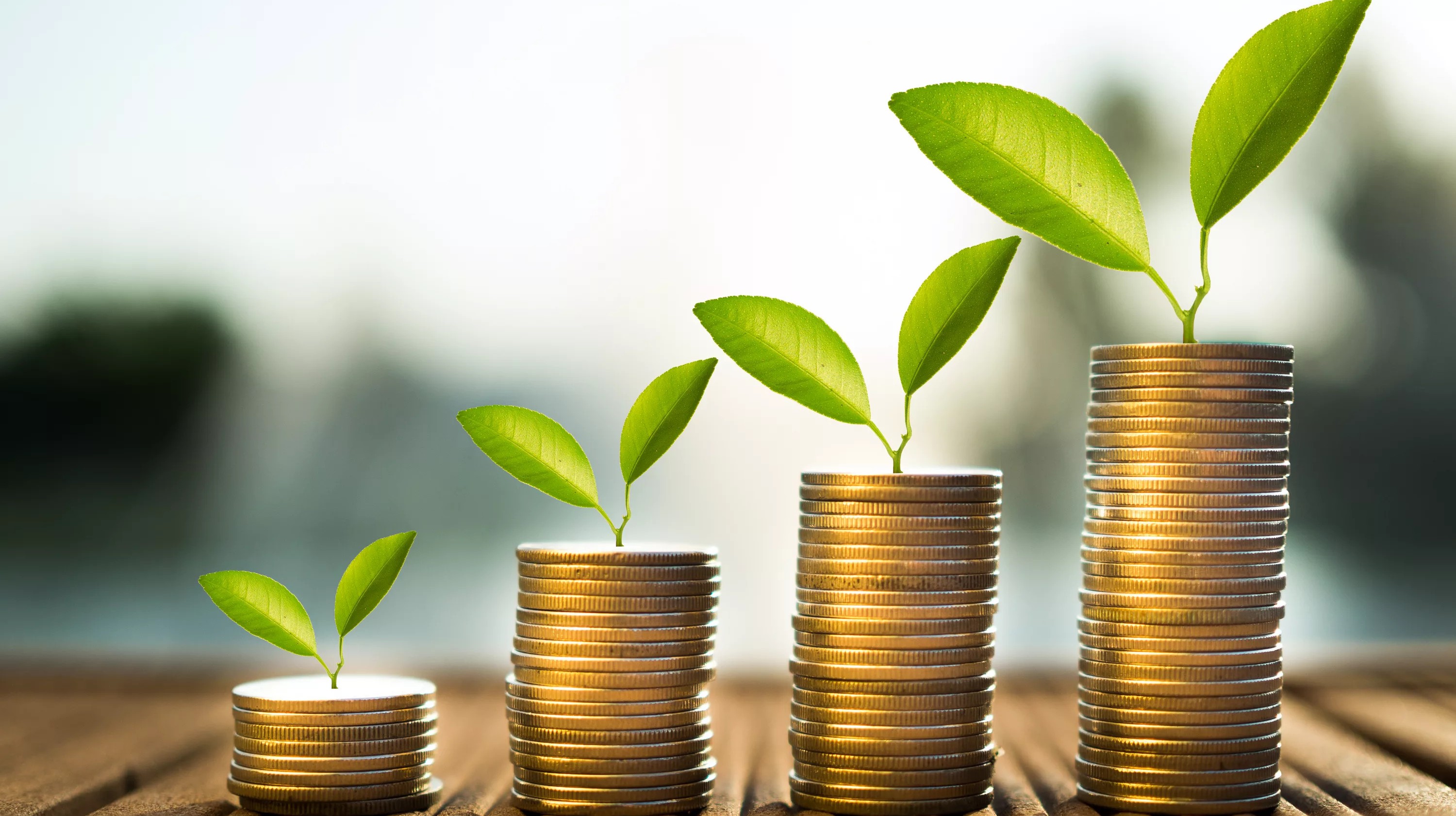 Прибыль Bank of Cyprus выросла до 252 млн евро