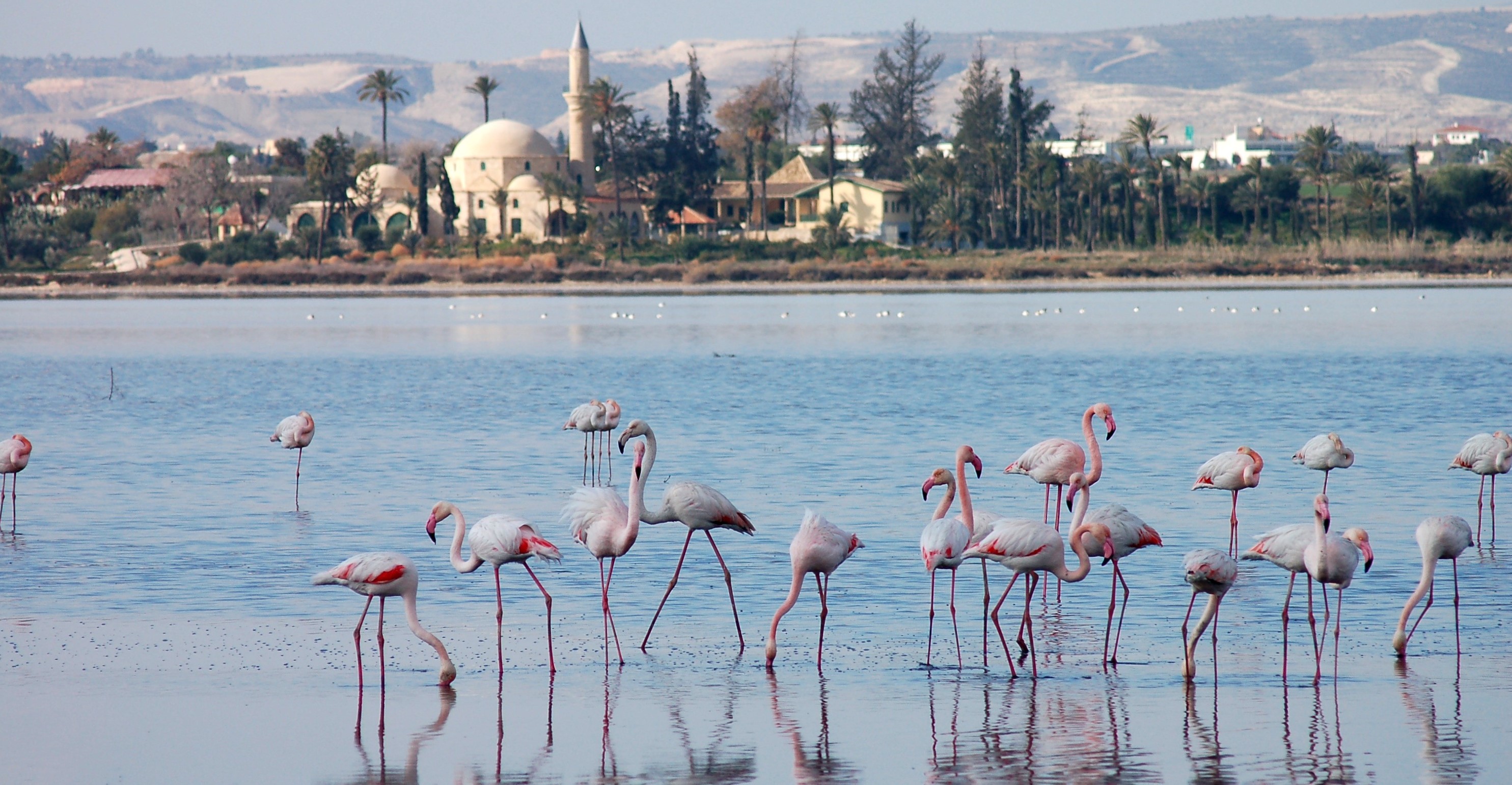 5 places in Cyprus that look unreal