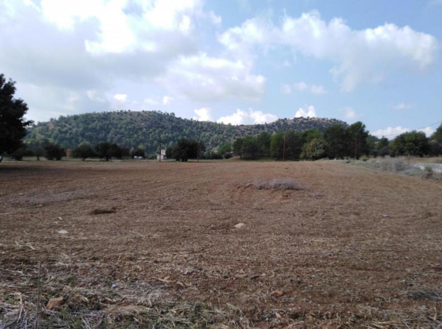 Eleonon Plots