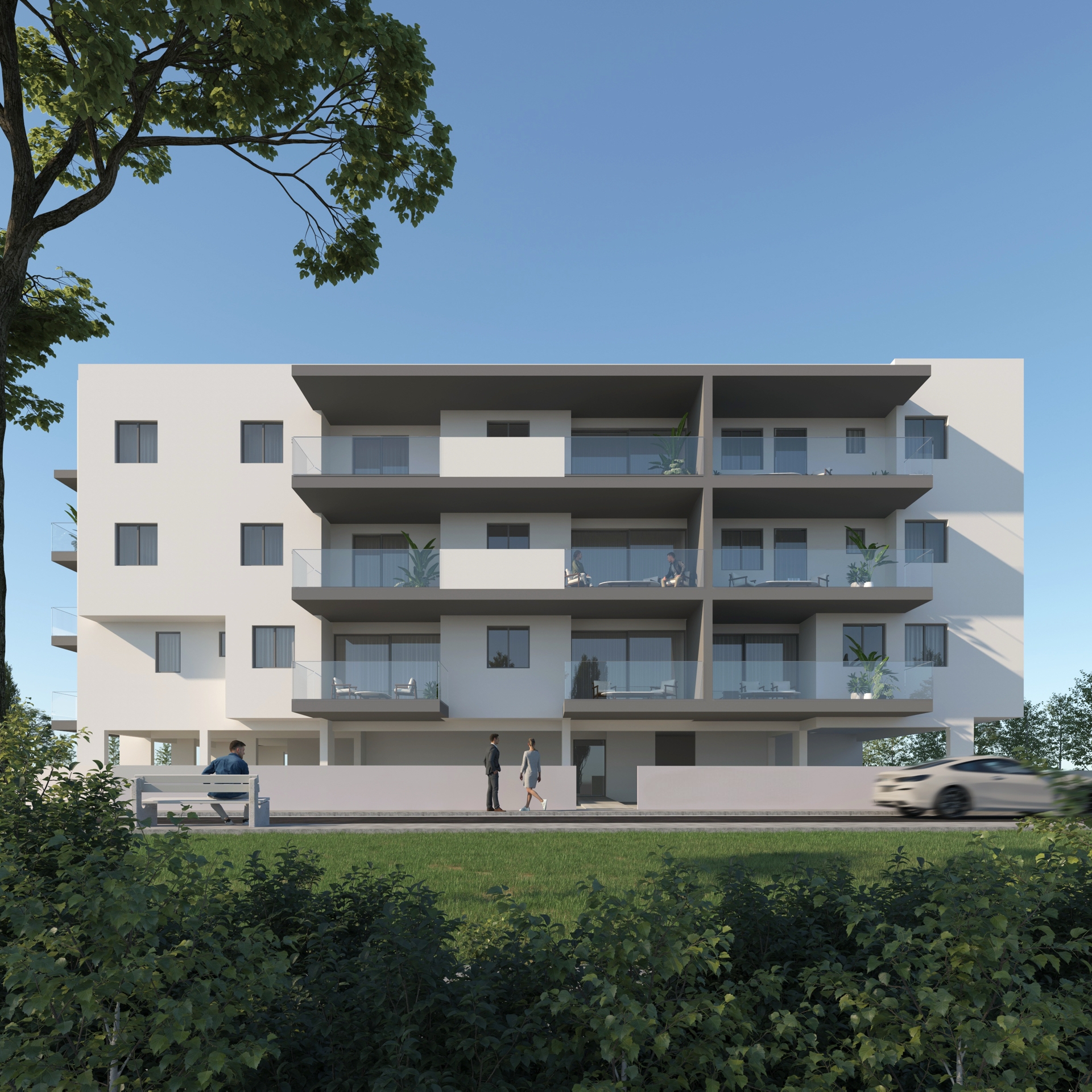 Cott 54