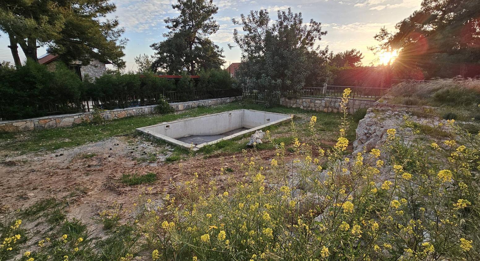 Jasmin Complex