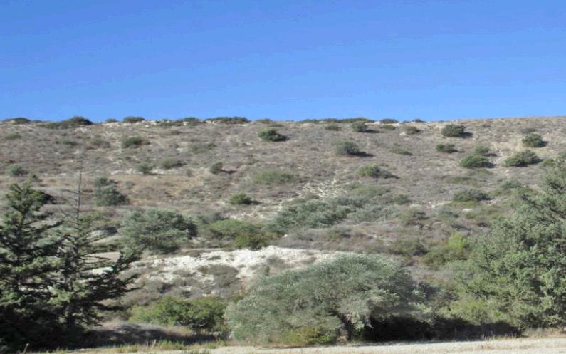  - Image 1