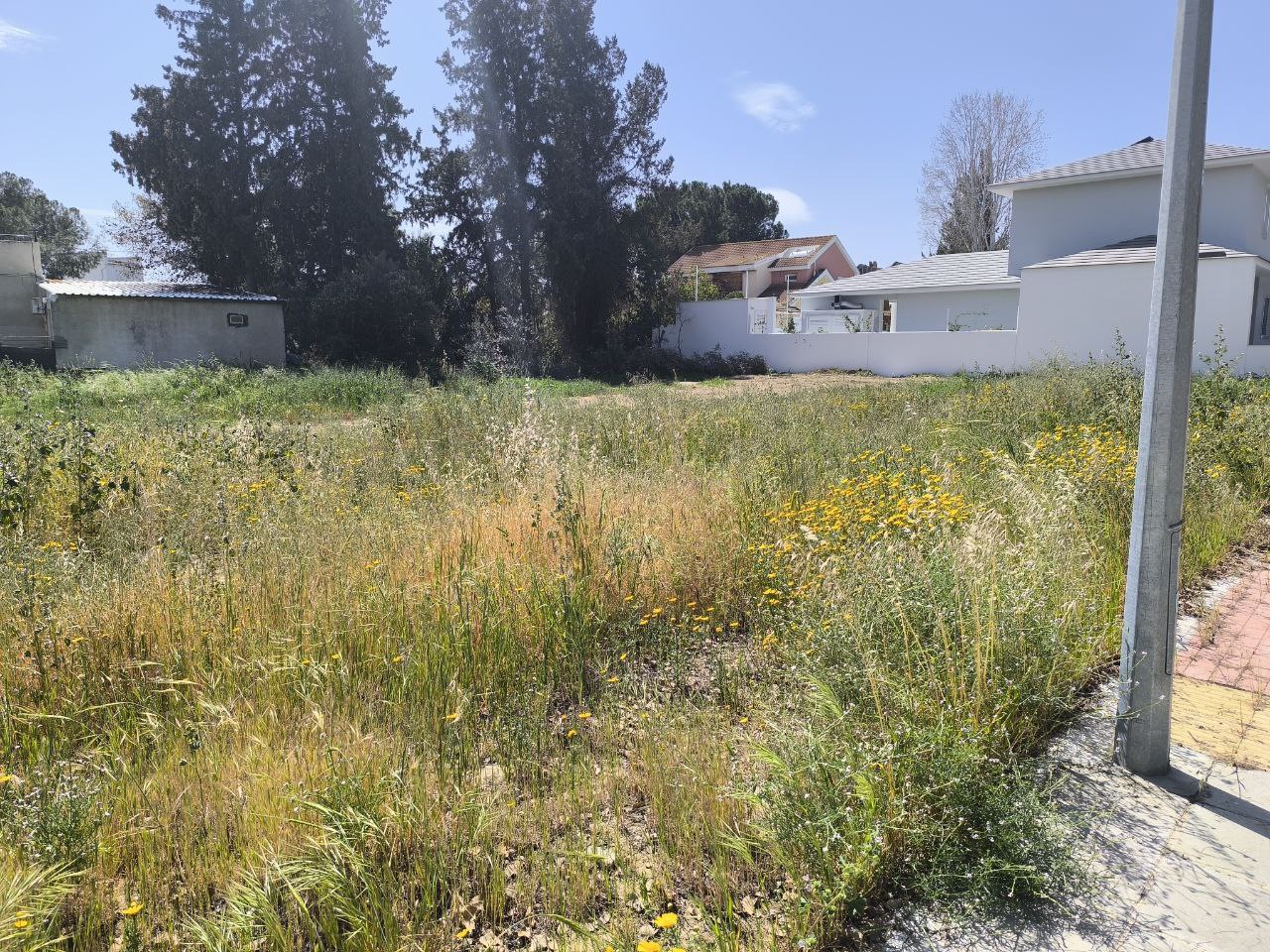  - Image 1