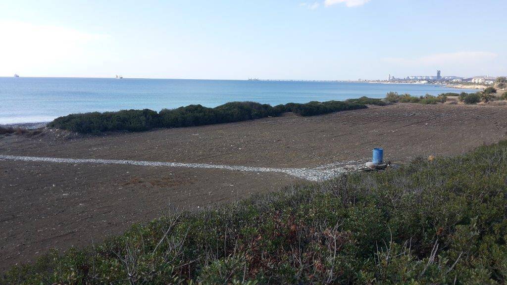  - Image 1