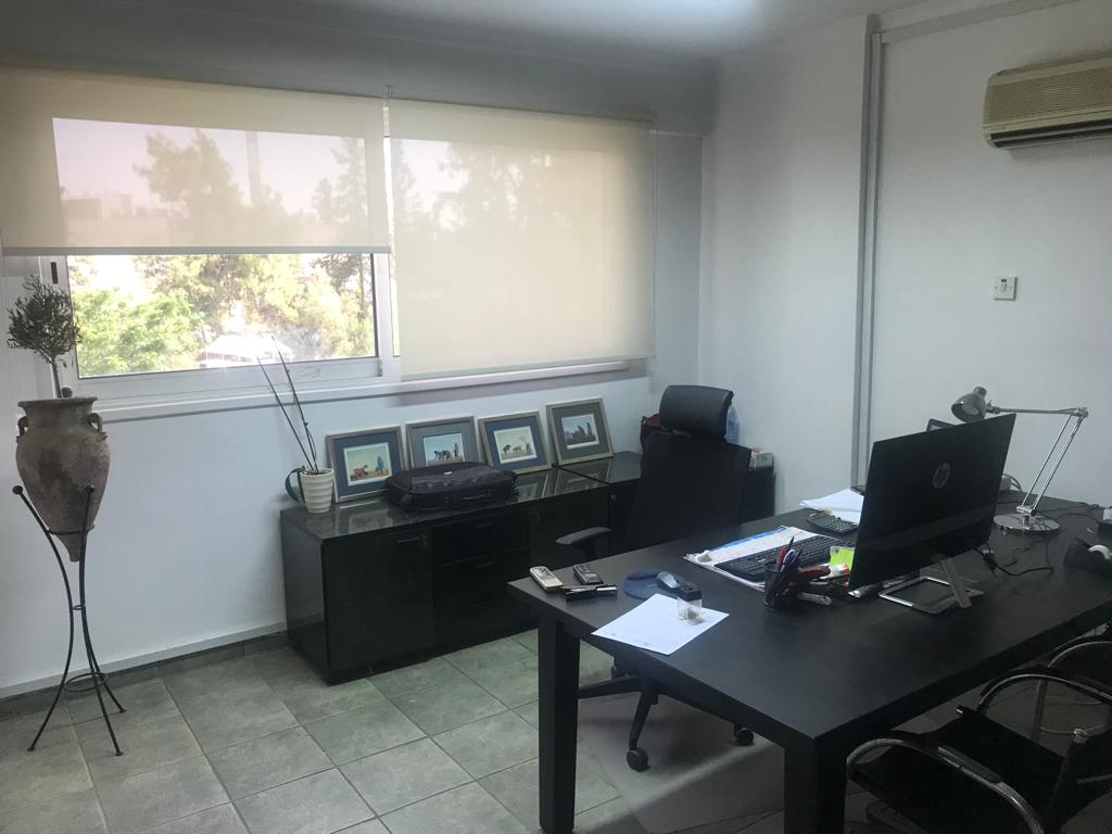 Property main