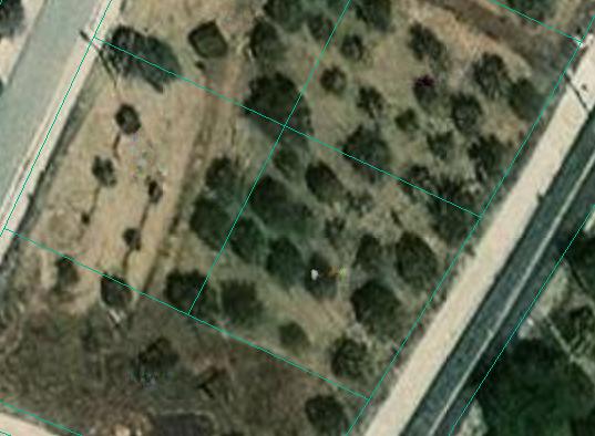  - Image 1