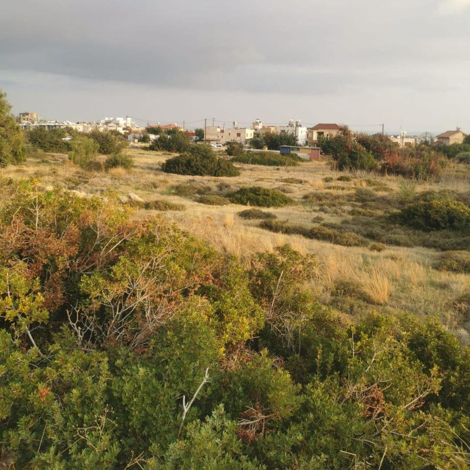  - Image 1