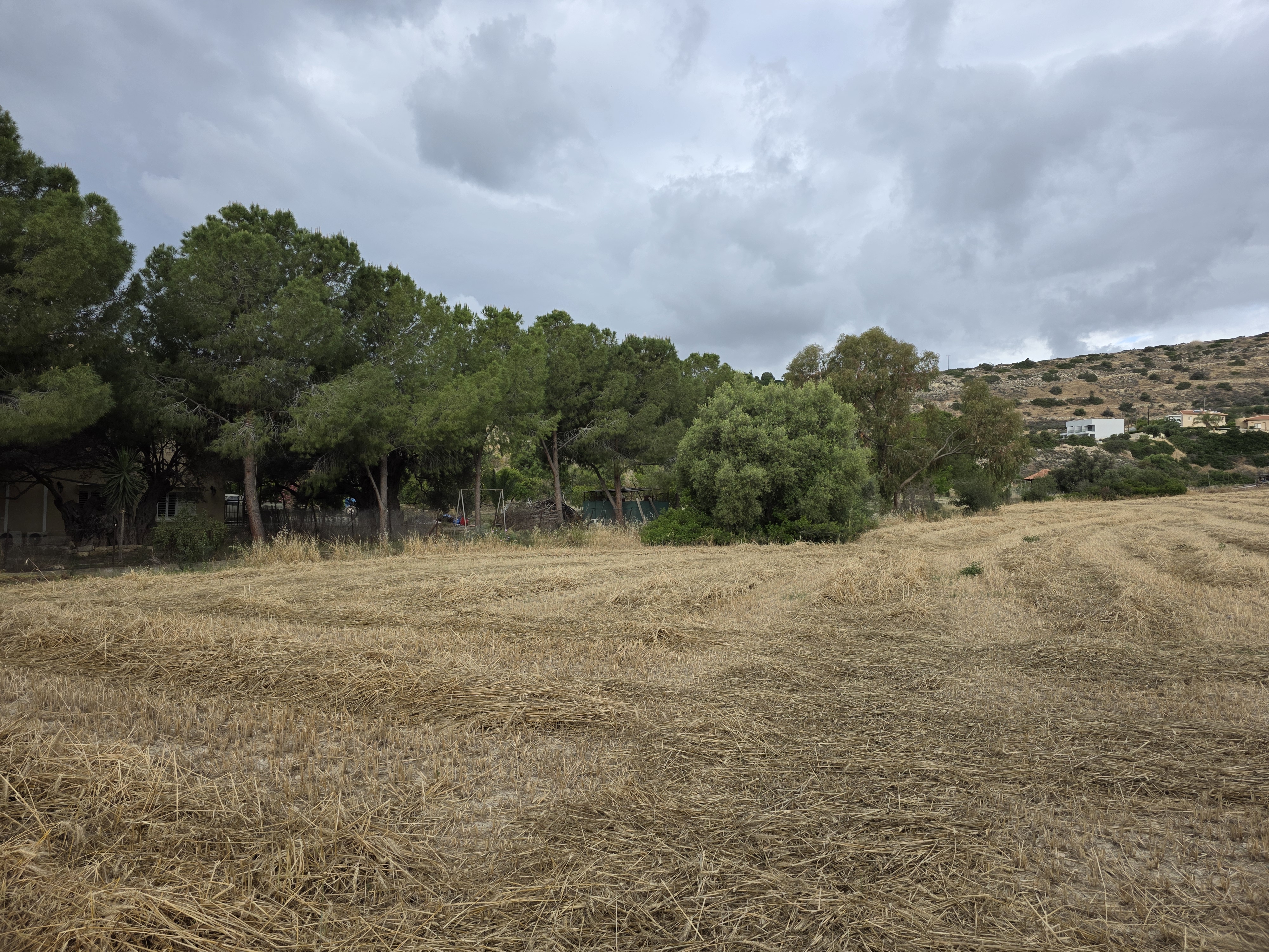  - Image 1