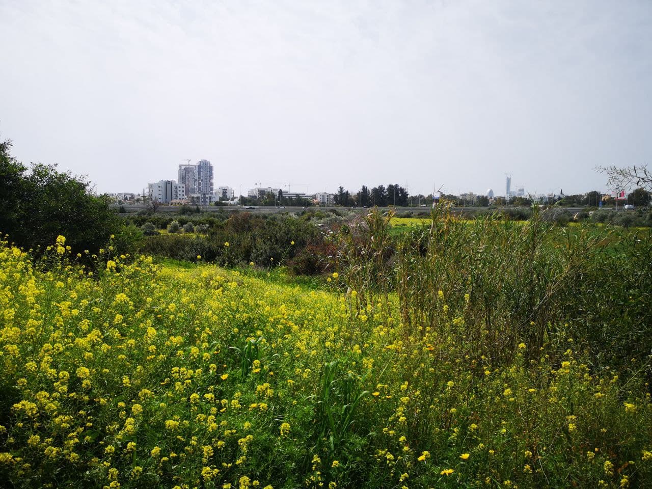 - Image 1