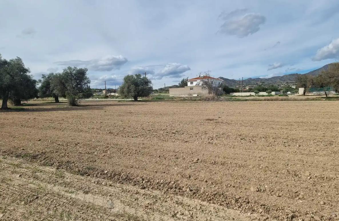  - Image 1