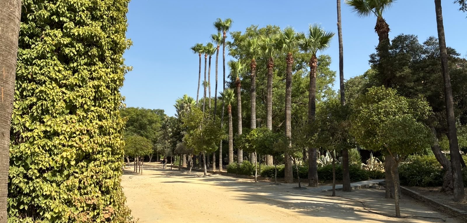 Nicosia Municipal Garden to Undergo Major Renovation