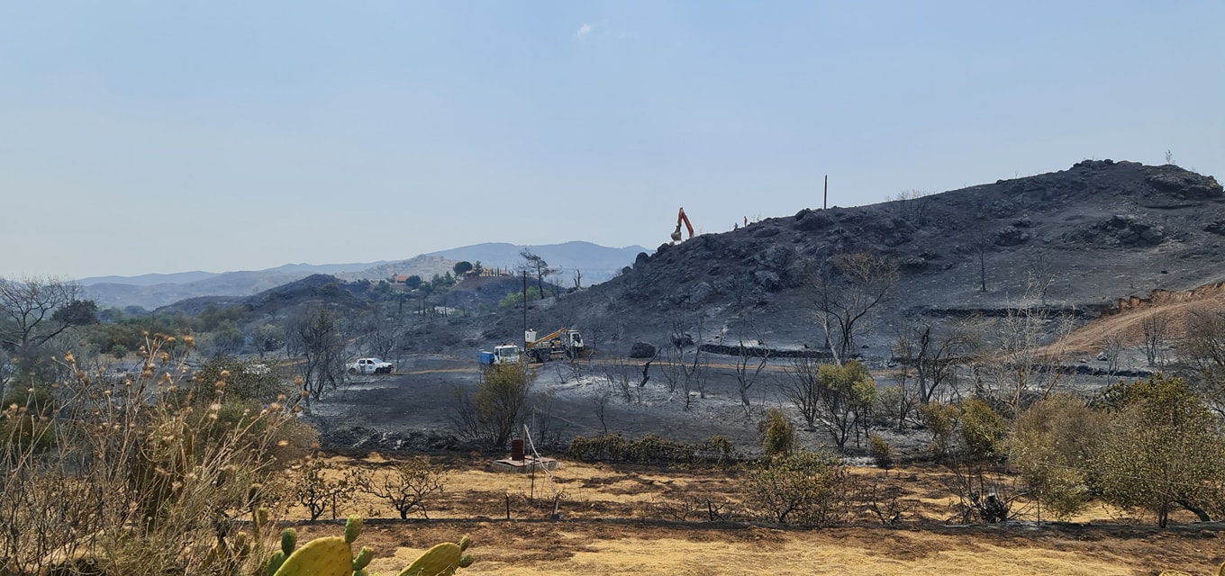 About 80 Houses Burned Down in Cyprus
