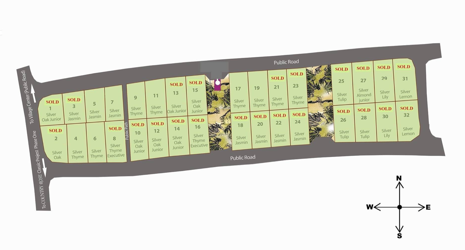 Thyme Complex
