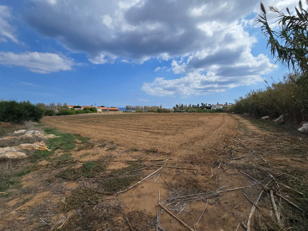 Property main