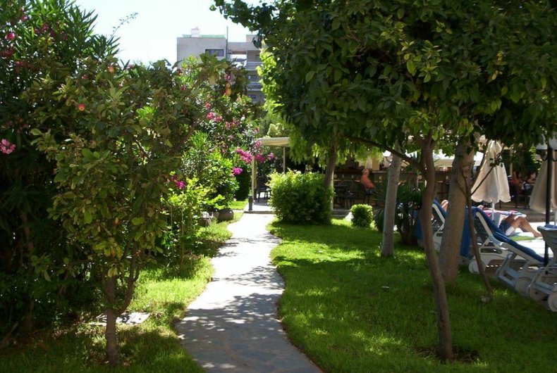 Property image 9